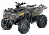 2011 Arctic Cat 450 photo